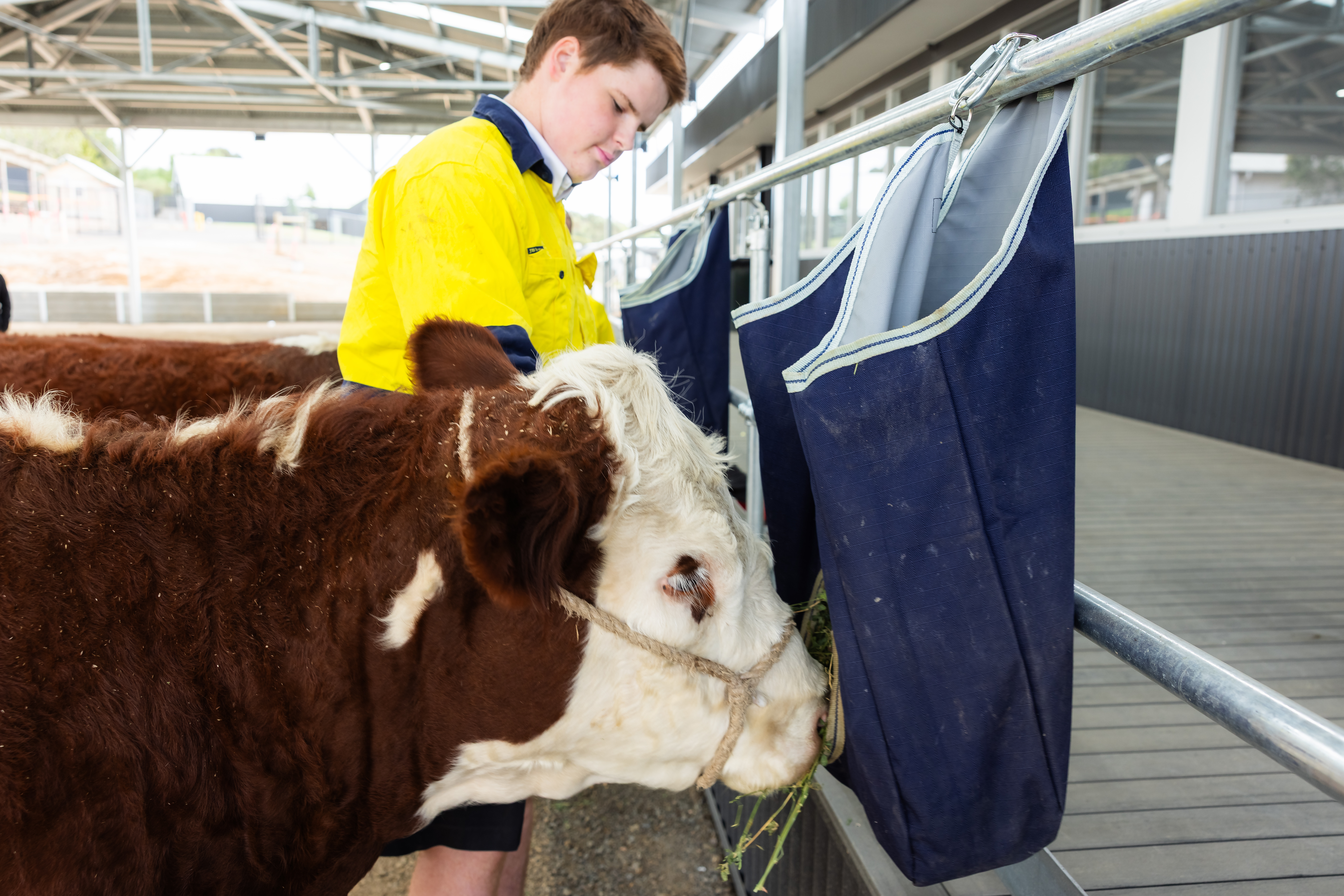 editorial-module-img