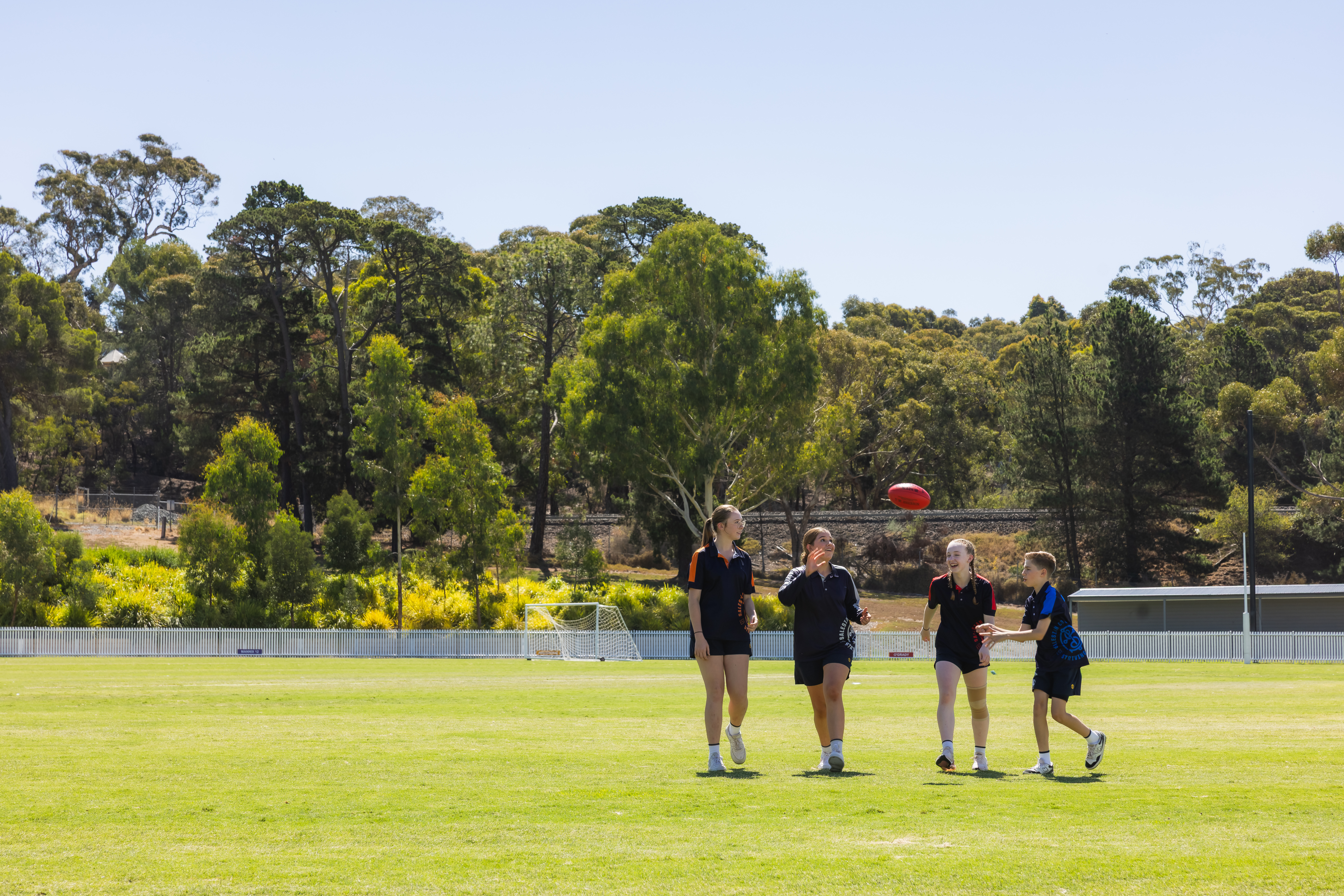 editorial-module-img