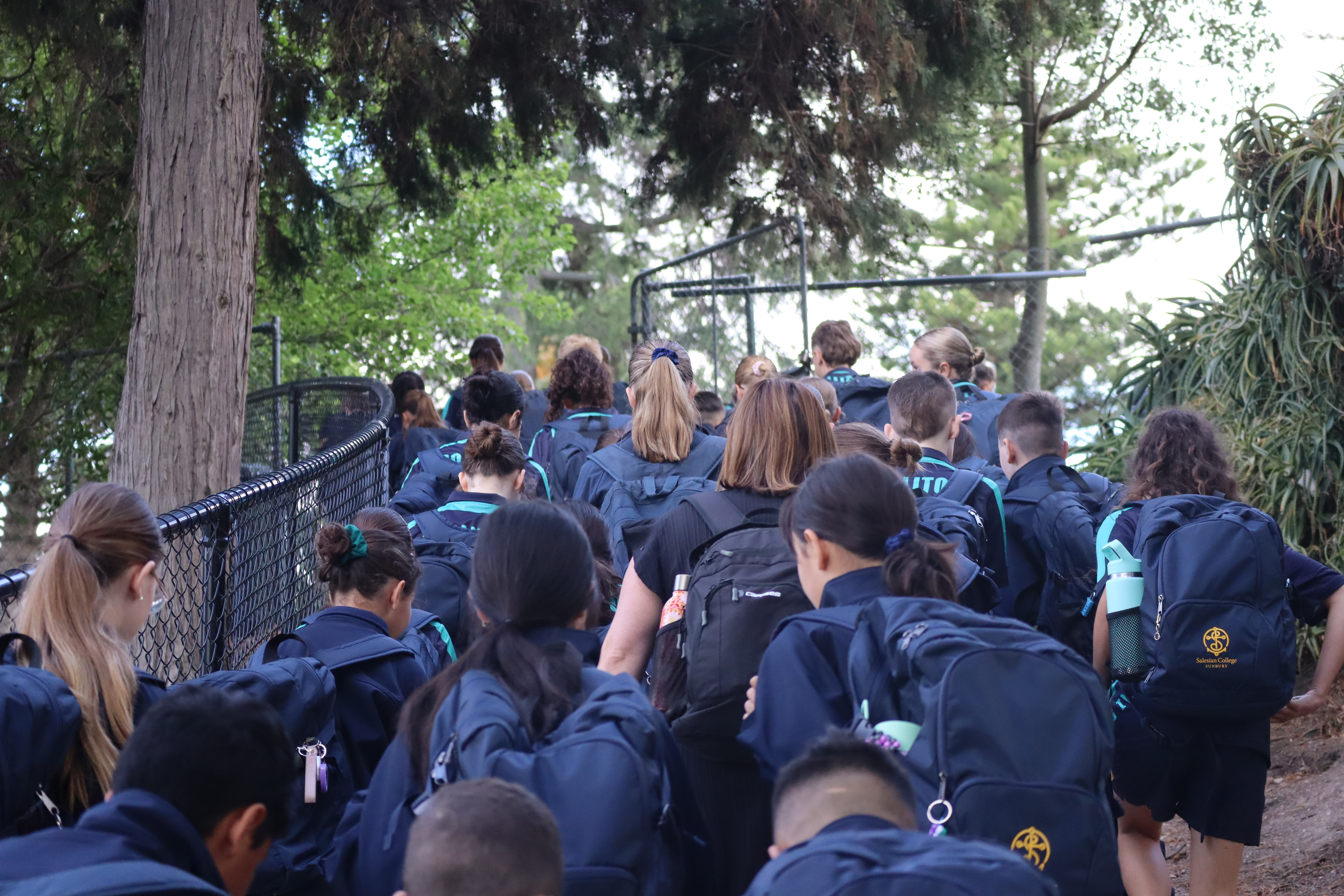 editorial-module-img