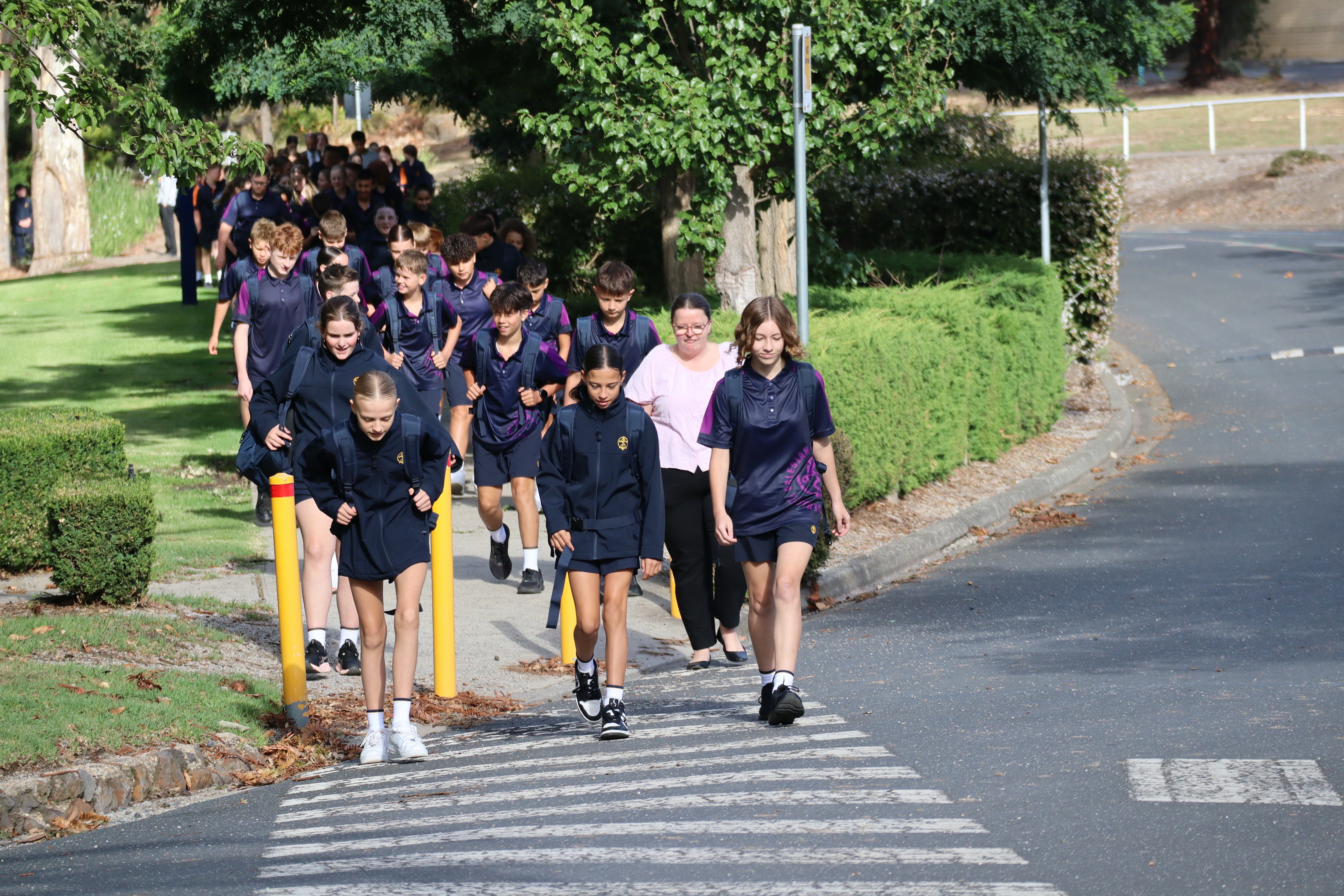 editorial-module-img